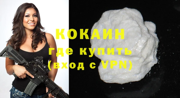 бошки Няндома